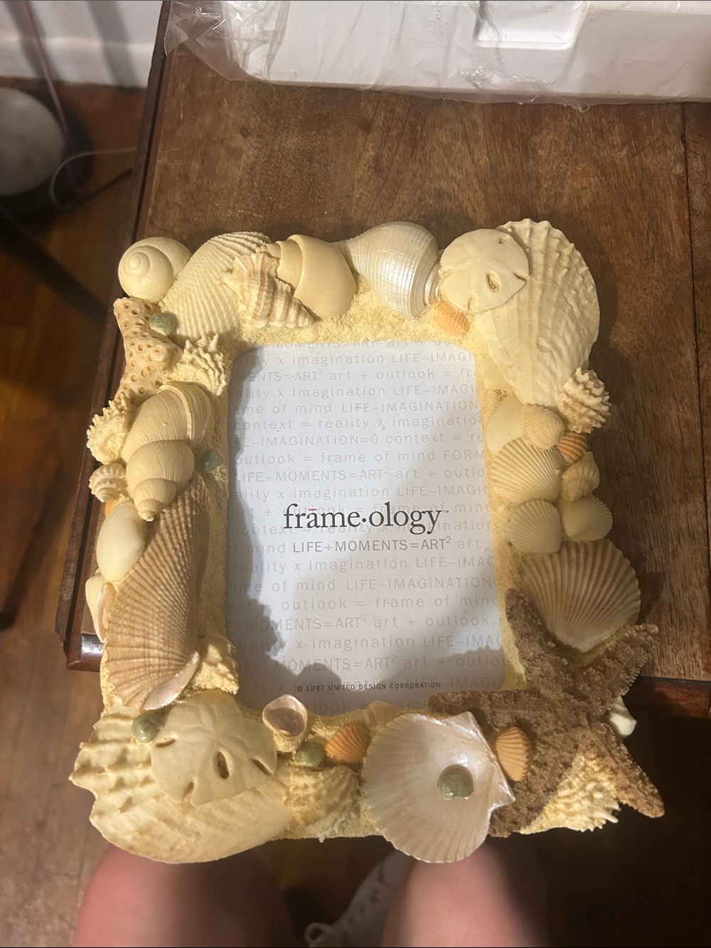 Coastal Seashell Photo Frame in Cream